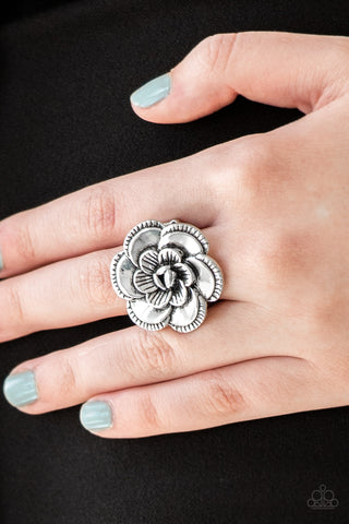 Paparazzi Ring - FLOWERBED and Breakfast - Silver